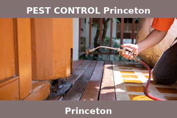 PEST CONTROL Princeton